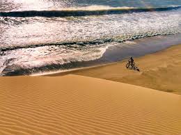 In drought years, food shortages are. The Skeleton Coast Namibia Breaking The Cycle Education