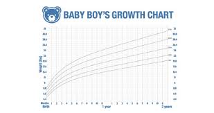 Dry Erase Boy Growth Chart Decal