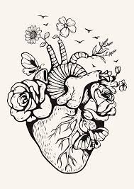 Combined with the software it runs with contributes to the quality your designs and drawings will have when printed. Pin By Claire Wilkins On Prints And Posters Heart Drawing Human Heart Drawing Drawing Prints