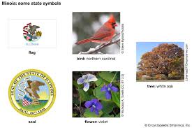 The anterior part of the forehead, the lores, and the upper anterior part of the neck, black. Illinois State Symbols Kids Britannica Kids Homework Help