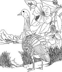 Includes images of baby animals, flowers, rain showers, and more. Hawaii Bird And Hawaii Flower Coloring Pages Coloring Sun