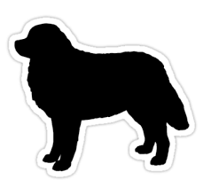 Bernese Mountain Dog Black And White Bernese Mountain Dog Silhouette S Sticker By Jenn Inashvili Dog Silhouette Dogs Bernese Mountain