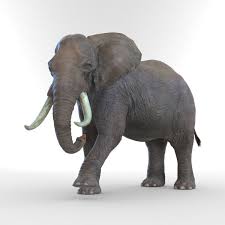 Max Elephant Rigged Animate Elephant 3d Model Animation