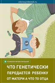 что передается генетически ребенку от матери а что от отца Chto Peredaetsya Geneticheski Rebenku Ot Materi A Chto To Otca Education Books Baby
