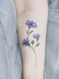 Pin On Flowers