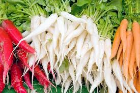 Kết quả hình ảnh cho white satin carrot