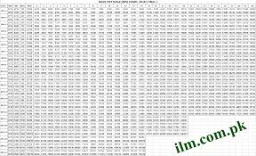 13 Comprehensive Government Pay Scale