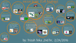 On a volleyball team, the hitters are like the mitochondria because they are the power plant of the team. Soccer Team Cell Analogy By Trizah Teka