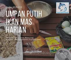 Maybe you would like to learn more about one of these? Download Cara Membuat Umpan Putih Ikan Mas Harian Gif Hobi Mancing