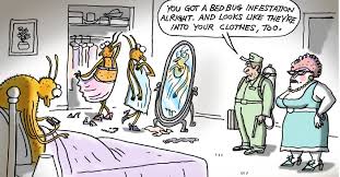 Receiving notification of a termite problem is something that no landlord wants to go through. Who Should Pay For Lawn Care Pest Control And Utilities