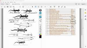 Acces pdf dichotomous key worksheets answers dichotomous key worksheets answers searching for a particular educational textbook or business book? Salamander Dichotomous Key Youtube