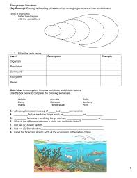 The position of the amino acids in the chromatogram can be detected by spraying with ninhydrin, which reacts with amino acids to yield highly coloured products … Hwp Homework Packet Ecology Liberty Union High School District