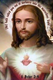 1 Peter 2:9 (nkjv) "9 But you are a chosen generation, a royal priesthood,  a holy nation, His own special people, that you may proclaim the praises of  Him who called you