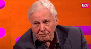 We have lift off. A Curlew