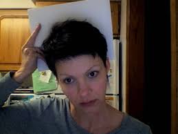 Medicating a Pig, Executing a McGee, and Looking Like a Lesbian : Fluid  Pudding