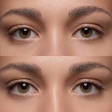 Amazon.com : essence