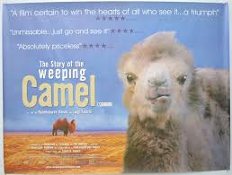 With quiet perseverance, the family. Story Of The Weeping Camel The P I A K A Die Geschichte Vom Weinenden Kamel I P Original Cinema Movie Poster From Pastposters Com British Quad Posters And Us 1 Sheet Posters