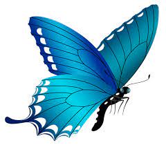 Blue Butterfly Png Image Gallery Yopriceville High Quality Images And Transparent Png Free Clipart Blue Butterfly Butterfly Png Images