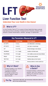Image result for Liver Function Test