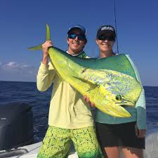 Species Profile Mahi Mahi Pelagic Gear