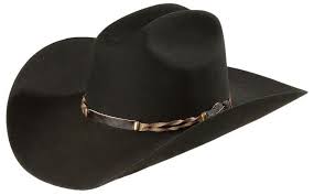 Stetson Men S 4x Portage Buffalo Felt Cowboy Hat In 2021 Felt Cowboy Hats Cowboy Hats Cowboy