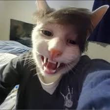 Stream omgcharlie music