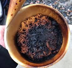 We did not find results for: Forgot To Add Water To My Noodles Wellthatsucks