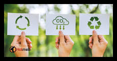 The Different Types of Sustainable Adhesives & Their Applications