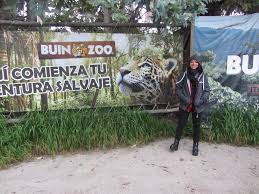 I think it's one of the largest zoo's in chile. Un Paseo Por El Buin Zoo En Santiago Chile Steemkr