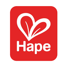 Hape — Toys