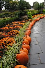 I Love You Fall Pumpkins As Edging And A Sea Of Lovely Mums Fall Landscaping Fall Outdoor Decor Fall Outdoor