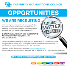 Examples Of Advertisement Job Vacancy Job Posting Advertisement Examples Help Wanted Ads