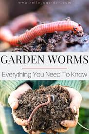 Crude fat ash ash is the total of all minerals g.e. The Importance Of Garden Worms Kellogg Garden Organics