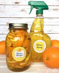 Maybe you would like to learn more about one of these? Uses For Orange Lemon Lime Citrus Peels In Your Home Garden Canningcrafts