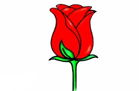 11:19 samsoma diy 24 913 просмотров. Ø±Ø³Ù… ÙˆØ±Ø¯Ø© Ø³Ù‡Ù„Ù‡ ÙˆØ¬Ù…ÙŠÙ„Ø© Ø®Ø·ÙˆØ© Ø¨Ø®Ø·ÙˆØ© Ù„Ù„Ù…Ø¨ØªØ¯Ø¦ÙŠÙ† Cool Drawings Simple Doodles Rose Step By Step