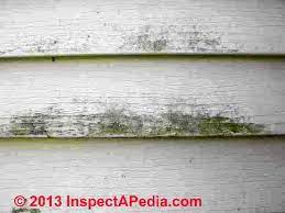 Green growth means fostering economic growth and development while ensuring that natural assets continue to provide the resources and environmental services green growth is not a replacement for sustainable development. Causes Of Vinyl Siding Stains Algae Lichens Soot Other Markings