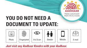 Automatically aadhaar card will be then opened. Aadhaar Card No Documents Needed To Update Photo Or Biometrics Just Visit Uidai Run Aadhaar Seva Kendra Aadhaar News India Tv