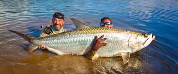 To catch one, you have to be in the right place at the right time. Nicaragua Tarpon Getaway Flyfishing