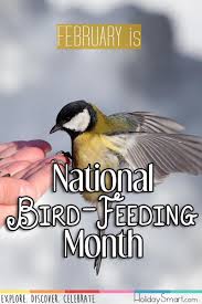 November Bird Of The Month February Is National Bird Feeding Month In 2019 Bird Feeders Birds Holiday