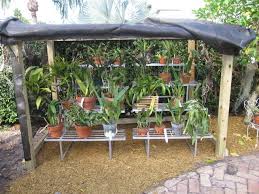 The shade nets which are made with agricultural products will be up to six years and this completely depends on the environmental conditions. 19 Shade Houses Ideas Shade House Orchid House Orchids Garden