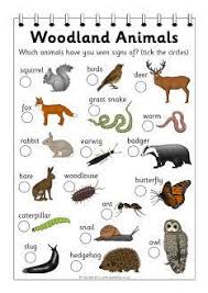Free Printable Pictures Of Animals That Live In The Forest Woodland Animals Forest Animals Preschool Woodland