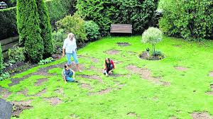 Ameisen Auf Fresstour Garten Des Ehepaars Lenthe Leidet Weilheim