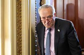 OK, Chuck Schumer. Trump Just Crossed Your Red Line. Now What?