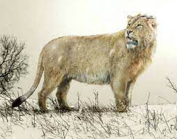 Panthera Leo Fossilis Megafauna Felidae Animals