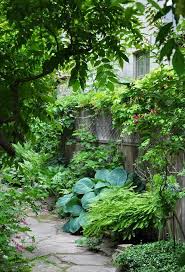 Pin By Rebecca Sanderson On Child Friendly Ideas For A Small Back Yard Narrow Garden Shade Garden Design Shade Garden