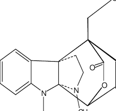 Image result for Hunteria umbellata