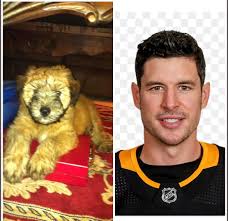 Annabelle's middle name… ? #petchallenge