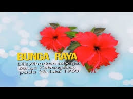 Bunga kebangsaan korea selatan berkongsi nama spesis yang sama dengan bunga kebangsaan malaysia iaitu, hibiscus. Rtm Tv1 Bunga Raya Bunga Kebangsaan Ident Break Bumper Youtube