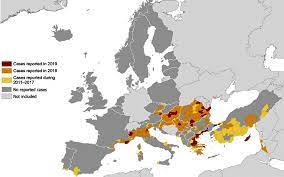 20 prozent der infizierten symptome. Geringe West Nil Virus Aktivitat In Osterreich Und Europa