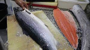 14 Lb Salmon Cleaning & Filleting - Youtube